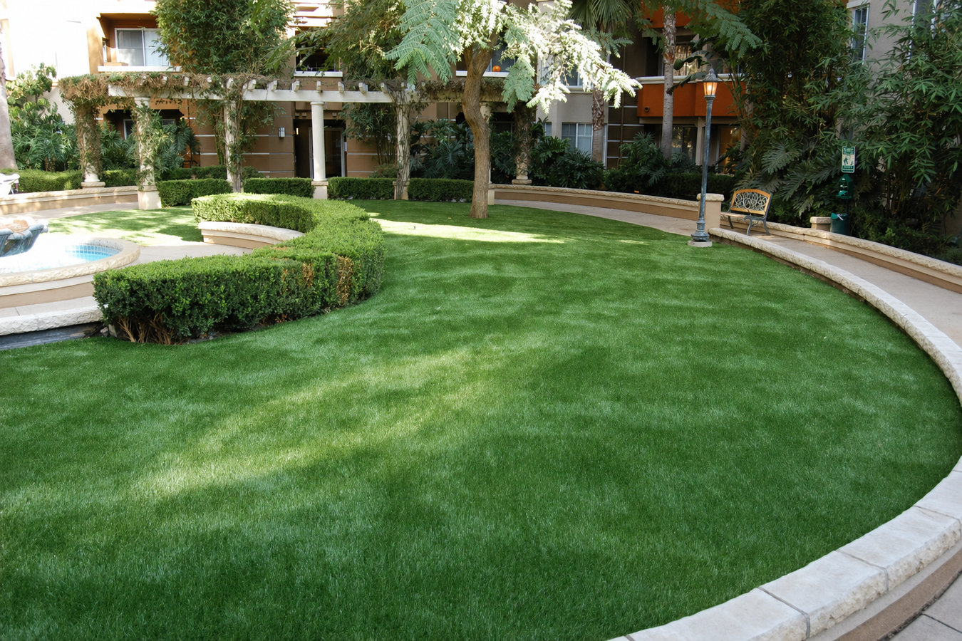 Drought-tolerant turf